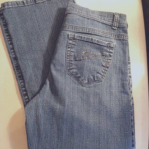 Style & Co. Ladies Jeans 12P/short
